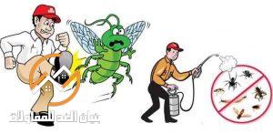 شركات مكافحة الحشرات بالرياض