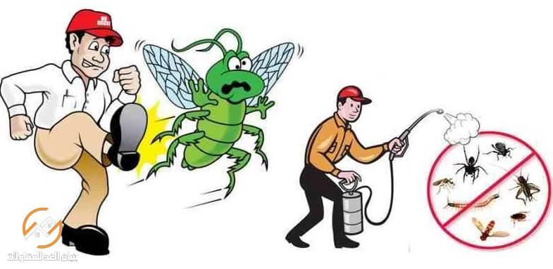 شركات مكافحة الحشرات بالرياض